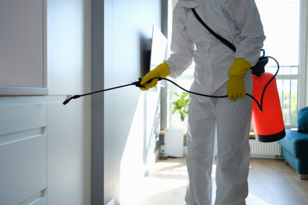 Mold Removal Process in Pennville, PA